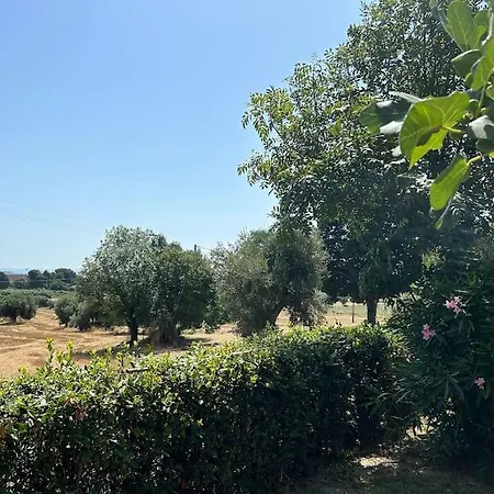 La Capparuccia Apartamento Civitanova Marche